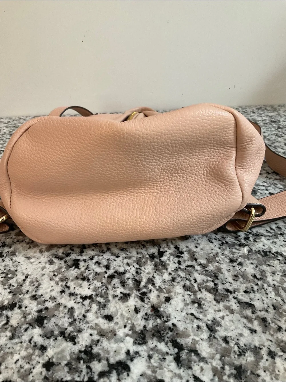 Aimee Kestenberg Tamitha Pink/Cream Leather Backpack with Gold Zip Detail NWOT
